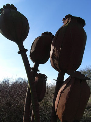 Poppy Sculpture